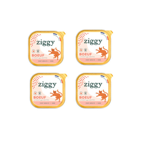 patee pour chaton complet boeuf, 4X100 g