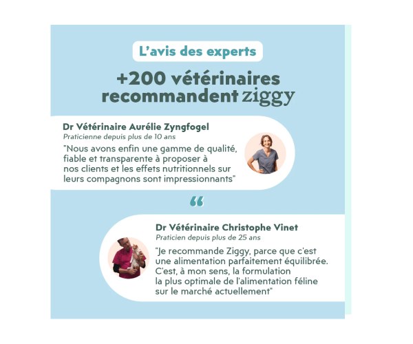 Pâtée Chat Adulte Stérilisé Saumon Sans Céréales 4x100g – Image 2