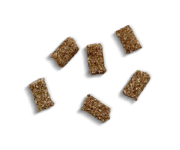 Friandises Digestion Mini Chien