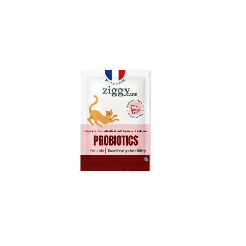 Probiotique chat flore digestive _ complément alimentaire, DAKAR