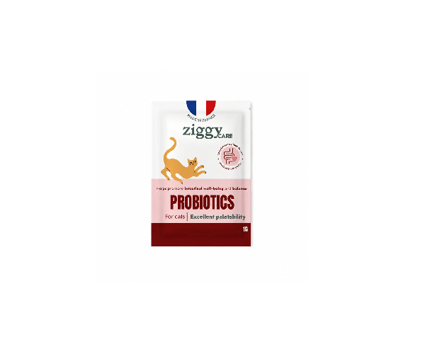 Probiotique chat flore digestive _ complément alimentaire, DAKAR