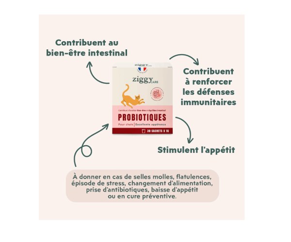 Probiotique Flore Digestive Chat – Image 3