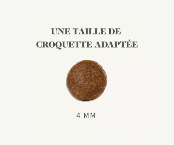 taille 4