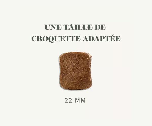 Croquettes Chien Maxi Stérilisé au Poulet – Image 3