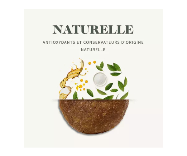 Croquettes Chat Adulte Perte de poids : Bab'in Lab – Image 2