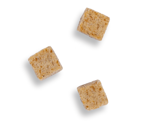 Friandise Vitalité Lyophilisée 100% Saumon3