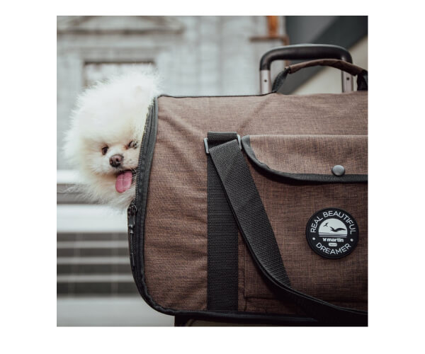 sac de transport chien ou chat