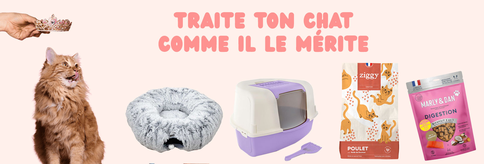 banniere-chat slider chat