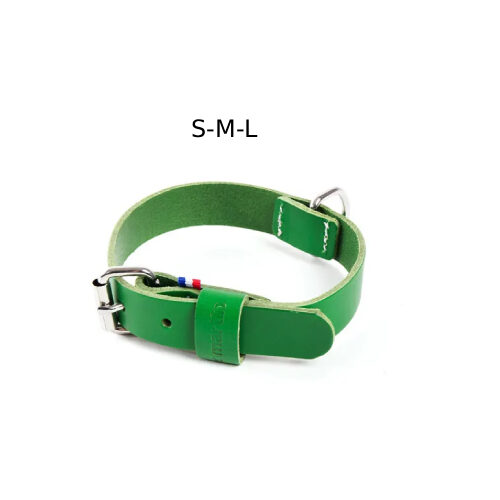 Collier pour chien en cuir vert, Martin Sellier
