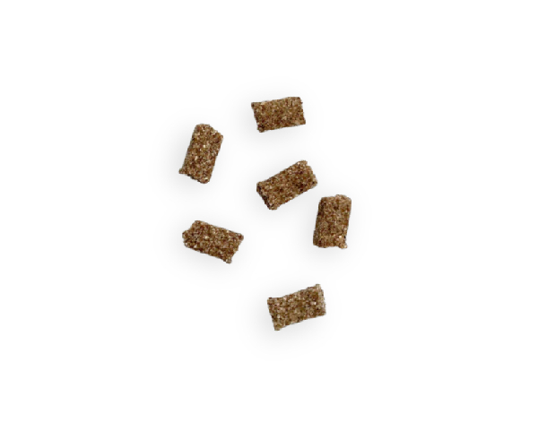 Friandise Education sans céréales pour Chien