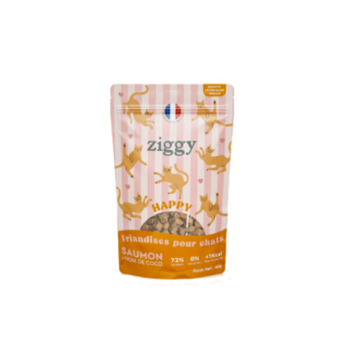 Friandise chat Happy au Saumon et Coco 40g
