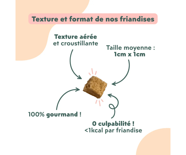 Friandise chat Happy au Saumon et Coco 40g format