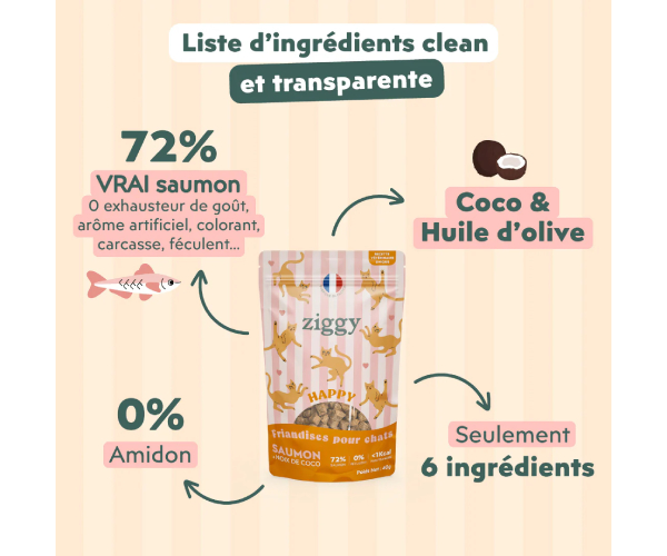 Friandise chat Happy au Saumon et Coco 40g ingredient