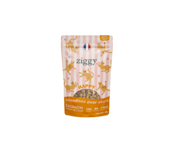 Friandise chat Happy au Saumon et Coco 40g