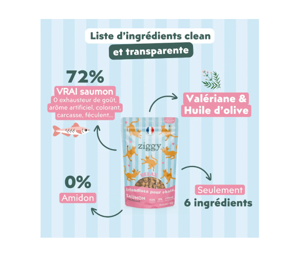 Friandise chat Relax Saumon et Valériane 40g, Ziggy