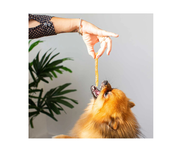 Friandises pour chien Tendres Lamelles de Poulet, 100% Naturelles – Image 3