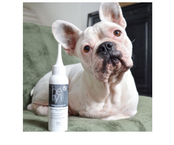 Soin des oreilles pour chien et chat, 100ml