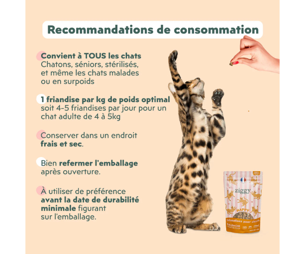 Friandise chat Happy au Saumon et Coco 40g 1