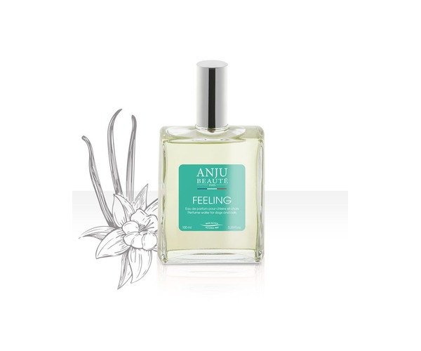 Eau de parfum chien chat Anju Beauté Feeling Vanille 100 ml sans alcool Dakar