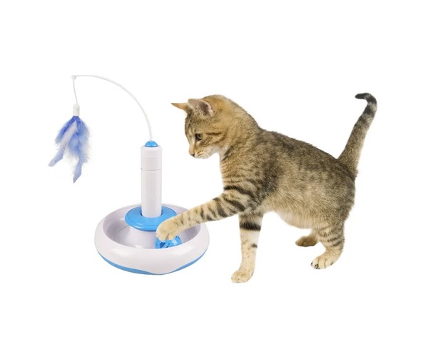 jouet de stimulation pour chat, Dakar