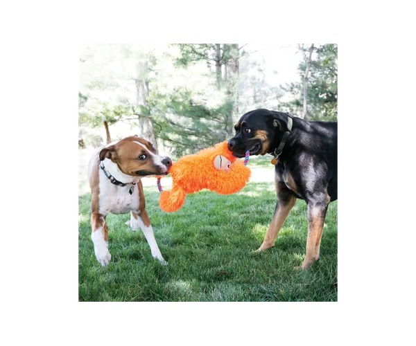 jouet peluche singe pour chien, jouet duo chien, jouet grand chien, Dakar, Sénégal