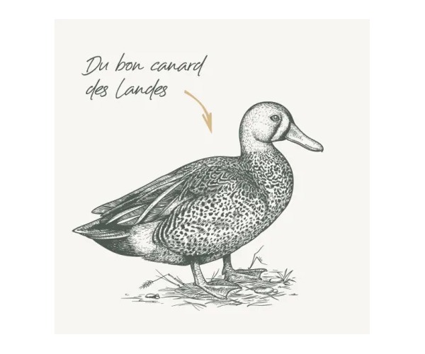 Friandises chat adulte stérilisé ou non à partir de 10 mois au canard, Dakar, Sénégal