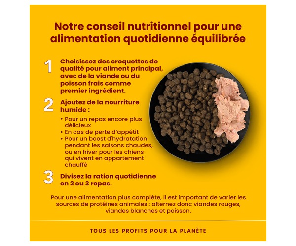 Infographie jaune: trois conseils pour une alimentation quotidienne équilibrée, avec une assiette de croquettes et de pâté à droite. Dakar, Sénégal