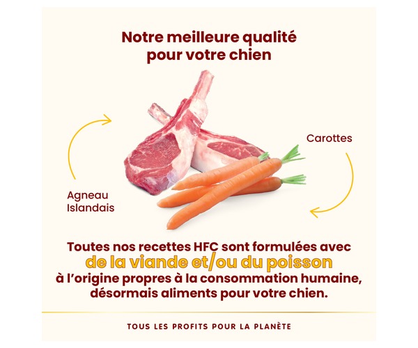 Pâtée pour Chien Nature HFC Complete Agneau et Carottes Sans Céréales, Naturelle, Dakar