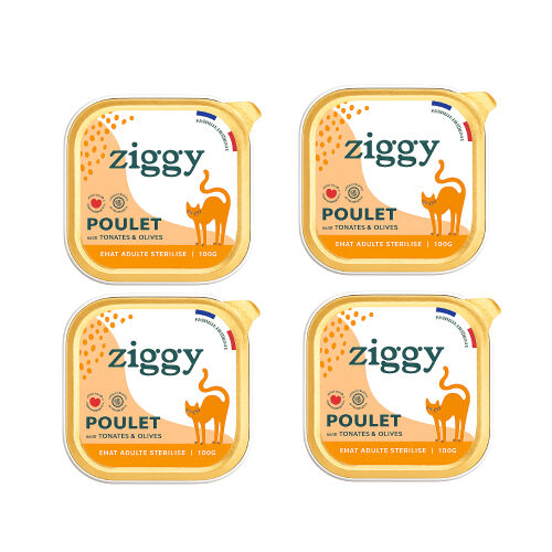 Pâtée Poulet pour Chat Adulte Stérilisé, Ziggy - Lot de 4 x 100g. sans cereale, Dakar, Sénégal