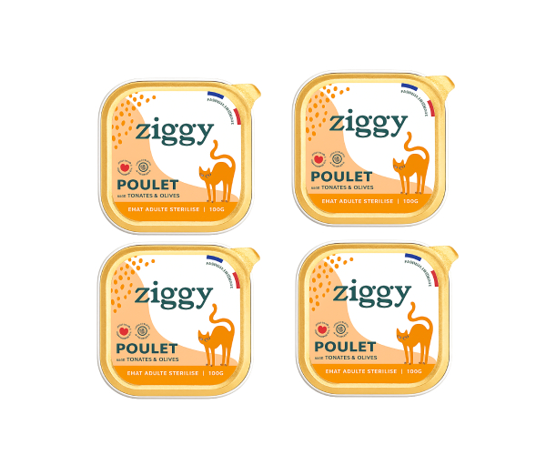 Pâtée Poulet pour Chat Adulte Stérilisé, Ziggy - Lot de 4 x 100g. sans cereale, Dakar, Sénégal
