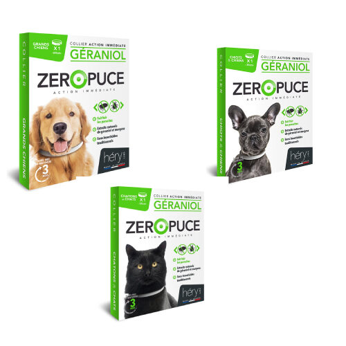 Collier Antiparasitaire Géraniol Zéro Puce, chien et chat, chiot, Dakar