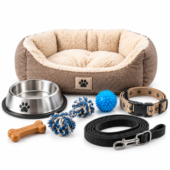 accessoire pour chien, chat, Dakar