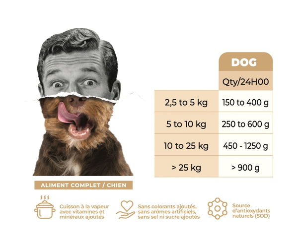 Pâtée Chien, Mijotée de Poulet Dakar, Sénégal